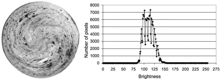 4 Homogenisation effect in disc zone of screw disc type extruder (s50?3 mm, magnifaction 62?