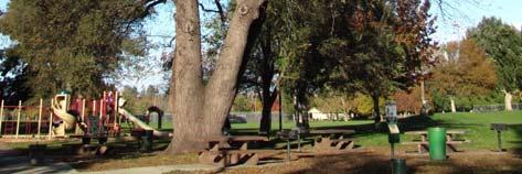 to the oak root fungus disease common to California soils. HELP US FIND MORE HERITAGE TREES!