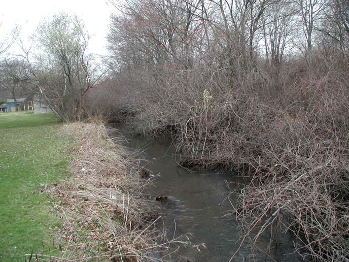 Riparian Buffer Restoration Fund Who s eligible: government & non-govt.