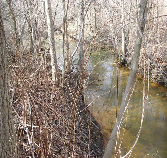Riparian Buffer Restoration Fund Who s eligible: government & non-govt.