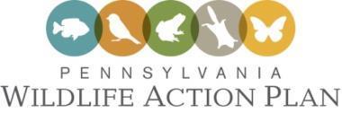The 2015 Pennsylvania Wildlife Action Plan: Looking to the future The 2015 Pennsylvania Wildlife Action Plan is designed to achieve the VISION of Healthy, sustainable native wildlife populations,
