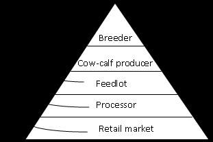 The beef industry needs to share data and profit between sectors to