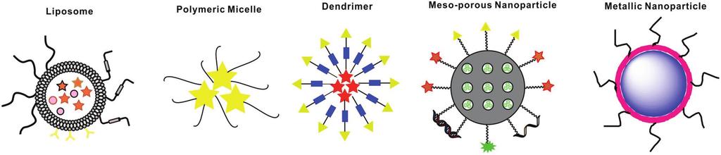 www.advancedsciencenews.com www.afm-journal.de Figure 1. Schematic representation of selected nanocarriers.
