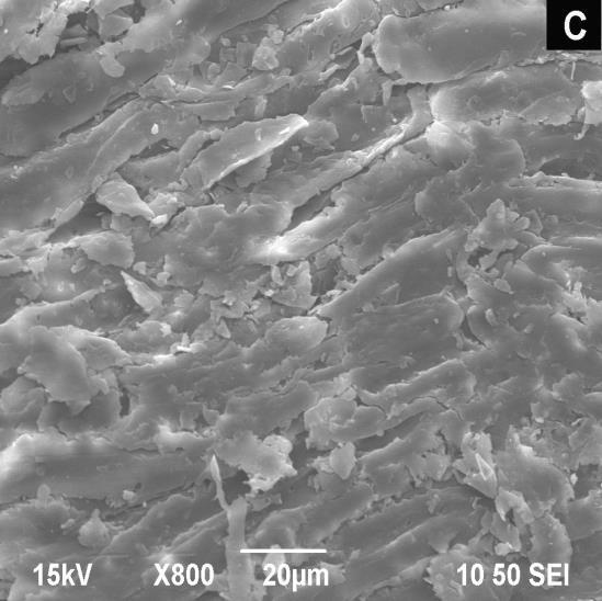SEM images of untreated and pretreated peanut shells: A: untreated, B: microwave-naoh pretreated, C: CTAB-assisted microwave-naoh pretreated CONCLUSIONS 1.