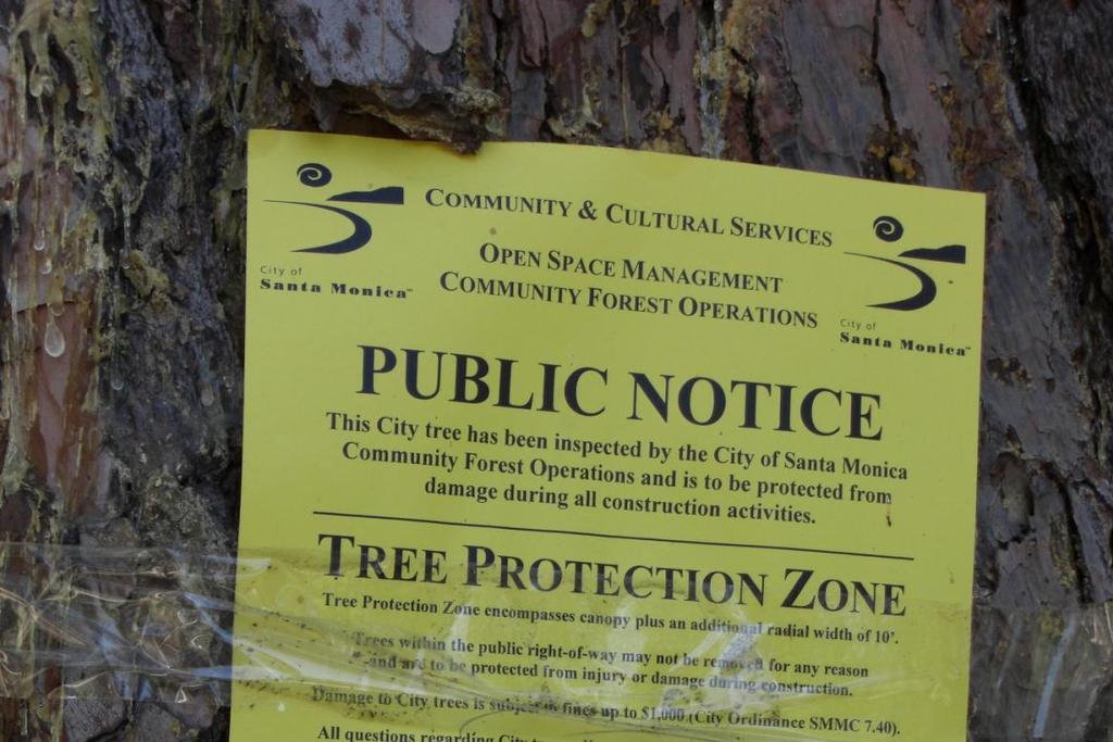 4. What is the proper way to set up a Tree Protection Zone?