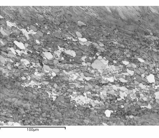 3440 THERMEC 2006 (111)[110] (110)[001] Figure 5- Aspect of partial recrystallization in a sample cold rolled 30% and annealed at 800 o C. Fig. 5 presents an EBSD image of a sample cold rolled to 30% and annealed for one hour at 800 o C.