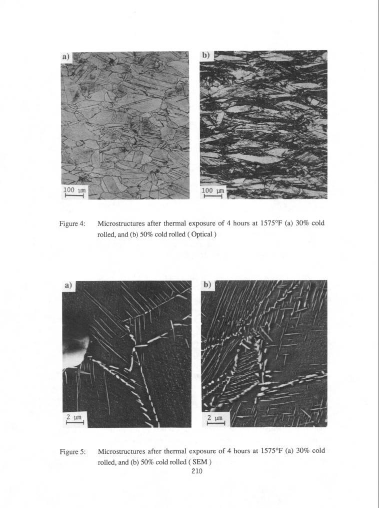 Figure 4: Microstructures after thermal exposure of 4 hours at 1575 F (a) 30% cold rolled, and (b) 50% cold rolled ( Optical )