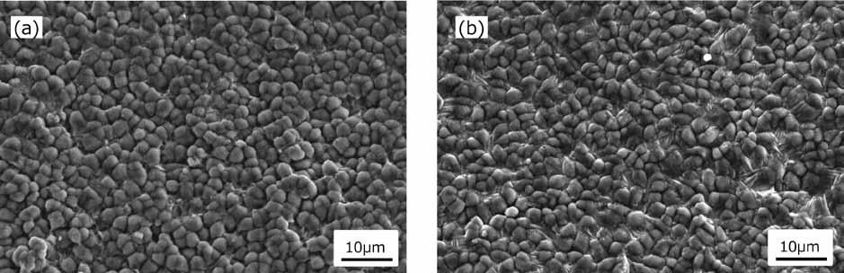 Fig.12 SEM image of phosphate coating on a) developed TBF steel, b) conventional mild steel These coatings were formed by immersing respective sample steel sheets into a phosphatetreating agent,