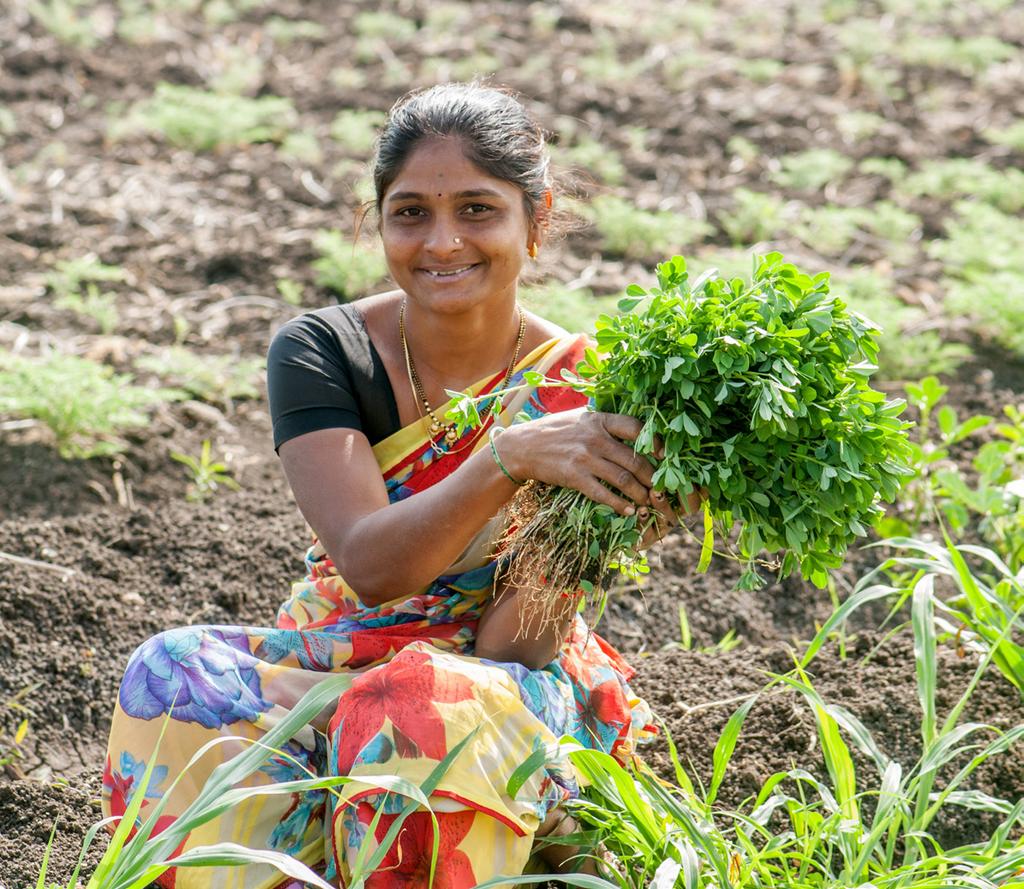 Case Study: Crop Specific Mobile Apps by Jayalaxmi Agro Tech (JAT) 5 Digital technologies can enhance the speed and quality of information that reaches agricultural workers when extension services