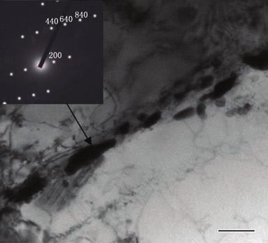S.Y. Cui et al.: J. Mater. Sci. Technol., 2011, 27(11), 1059 1064 1063 Fig. 9 TEM micrographs of the M 23C 6 at the grain boundaries after stress-rupture test at Fig.