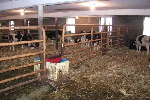 Calf Housing Bedded Resting Area Gate 126'-0" 8'-0" 16'-0" 32'-0"