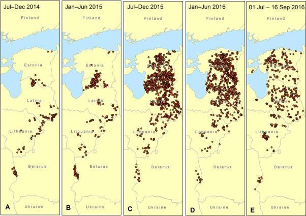 SCIENTIFIC REPORTS ON ASF (REPORT I, MAR 2017) ASF has the spatio-temporal pattern of a smallscale epidemic The average spatial spread of the disease in wild boar subpopulations in Latvia and Estonia