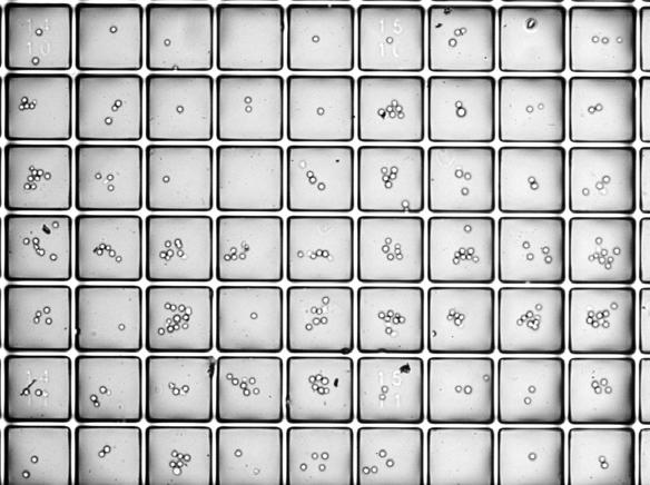 according to Poisson distribution 6000 cells