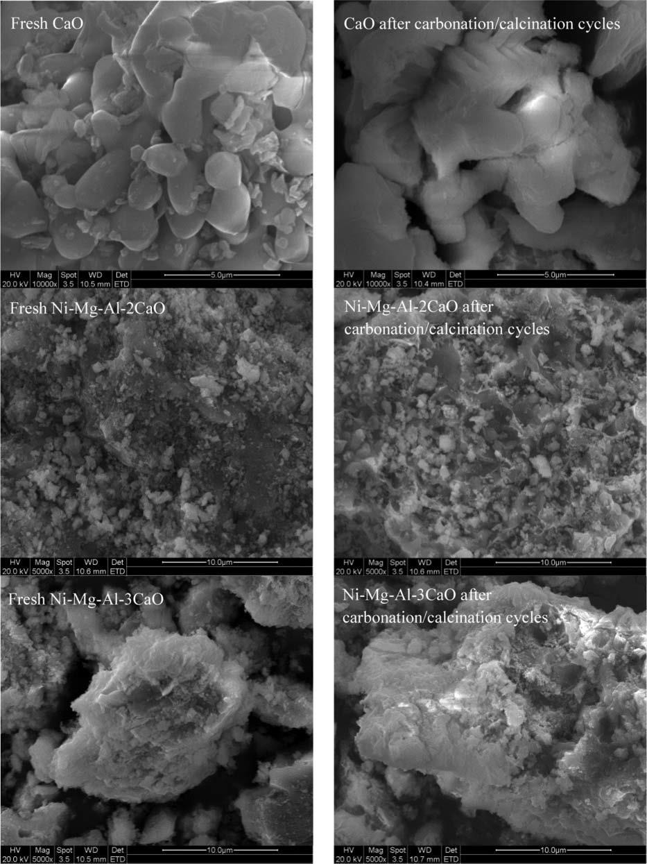 SEM results of the fresh and tested (after multiple carbonation/ calcination cycles with TGA) CO 2 capture sorbents To summarize: The