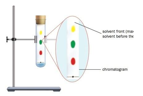 A spot of ink is applied to a piece of chromatography paper, which is then lowered into the solvent. The solvent dissolves the dyes in the ink. The dyes move up the paper together with the solvent.
