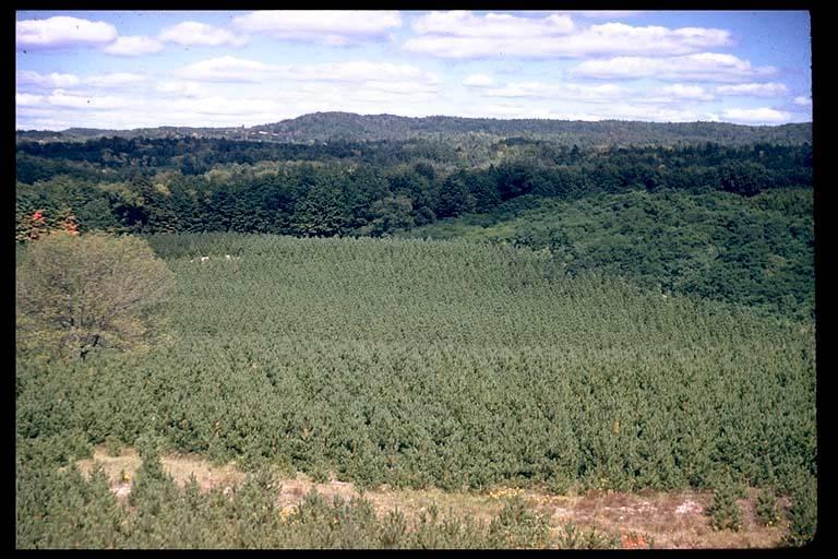 Within a macroclimatic and physiographic zone, northern hardwoods may occur within landforms composed of sandy to loamy soils, with a 3-fold range in soil moisture holding capacities.