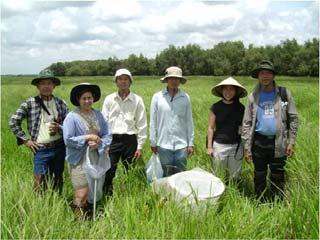 Cultivated Rice Communities
