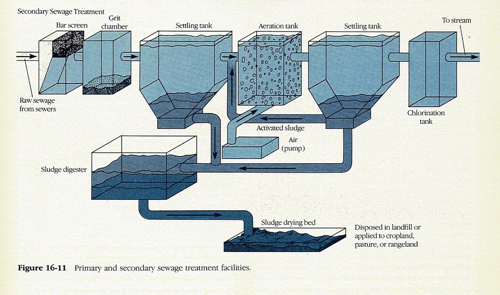 Typical Wastewater Treatment