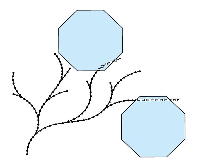 Figure 3.2: The RRT Algorithm [6] The tree consists of nodes (black circles) spaced equidistantly along Dubins paths.