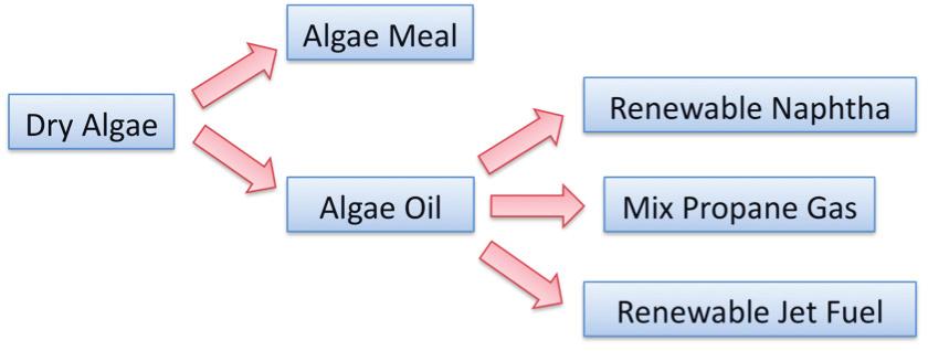 Figure B.8: Co-products that can be created from dried algae. It should be noted that this pathway is the same for palm oil, soybean oil, and many other renewable oil sources.
