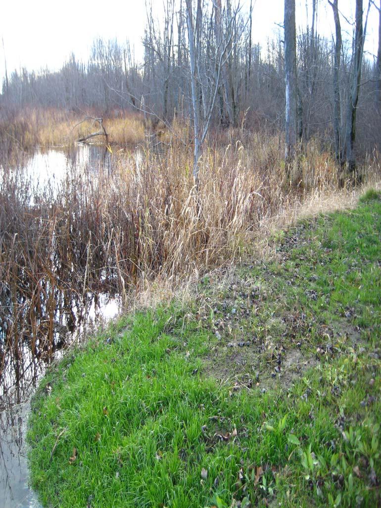 Infilling of Shorelands Filling of shore lands is only approved when shoreline stabilization Is