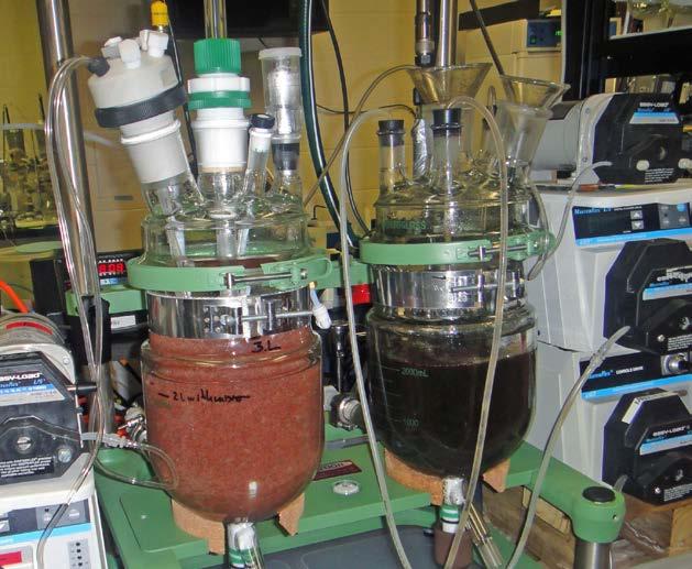 FIGURE 2: Deammonification treatment using two-stage process: partial nitritation (right) and anammox (left) SBR reactors. 3.2. Anammox reactor The anammox reactor (A-SBR) set-up to perform the anammox process was similar to the PN-SBR reactor, but in a sealed reactor to provide anaerobic conditions (Fig.