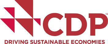 Action 2: Assess Performance Carbon Disclosure Project (CDP) Dow Jones Sustainability Index (DJSI) A- A Leadership (A/A-) Best practices for advancement of environmental stewardship F D- C- C B- B
