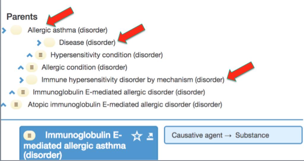 Example: 424643009 Immunoglobulin E-mediated allergic asthma (disorder) In this example there are three primitive supertypes of the concept Immunoglobulin E-mediated allergic asthma (disorder).
