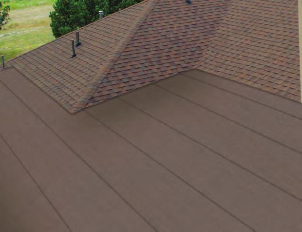 Add a Little Accent to Your Roof 6 6 4 2 The visually