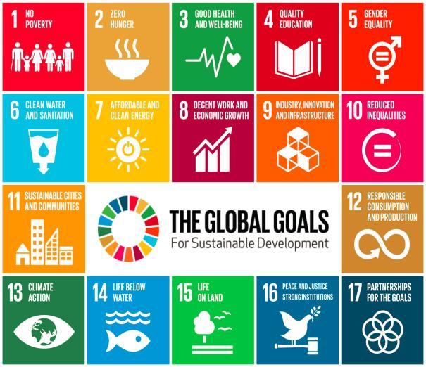Make a tangible contribution to the Sustainable Development Goals.