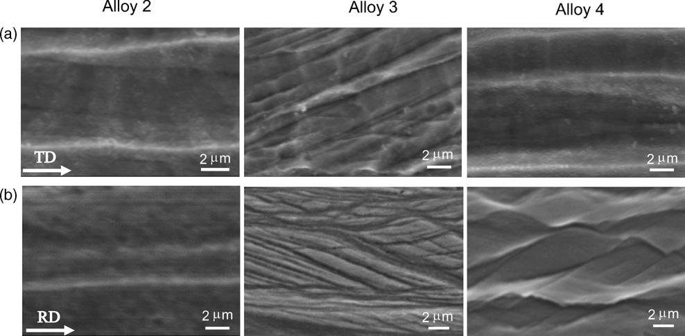 SEM micrographs of alloys 2 4 shown in the enlarged scale of Fig. 5(a) and (b). bands supposedly provide the majority of nucleation sites during recrystallization in the severely cold-rolled alloys.