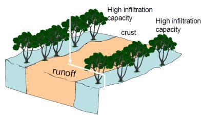 surface characteristics Semi-arid environments Not all runoff becomes