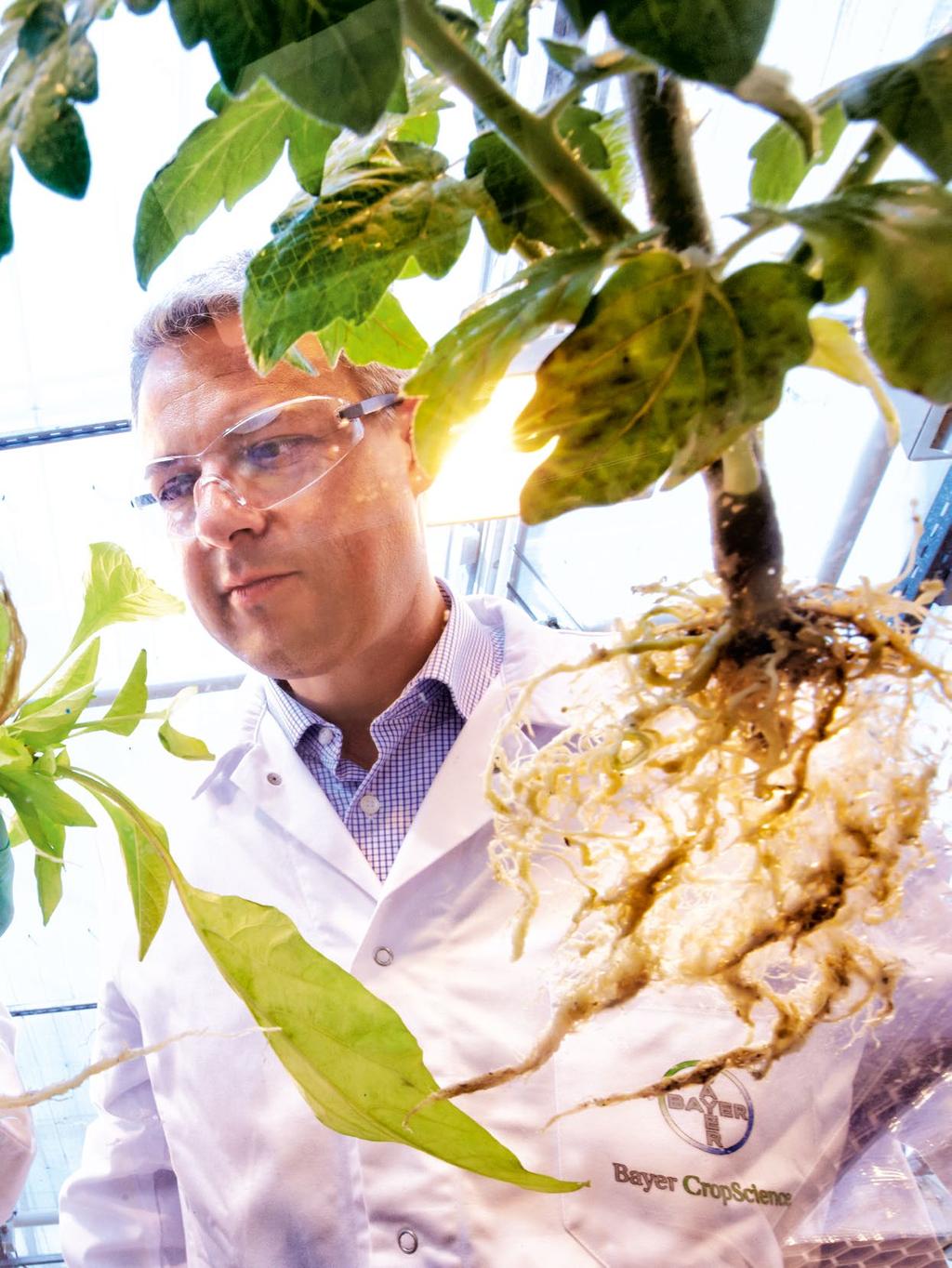 Cover story AGRICULTURE Photos: Peter Ginter/Bayer AG (8), Privat (2) SECURING WORLD FOOD SUPPLIES WITH INTEGRATED CROP PROTECTION Revolution from the ground up Enormous harvest losses all over the