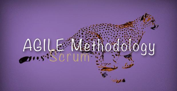 AGILE methodology- Scrum What is Agile? This is one of the biggest buzzwords in the IT industry these days. But, what exactly is agile?