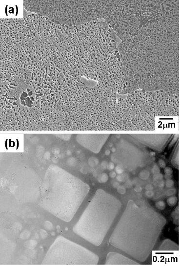 RESULTS AND DISCUSSION ETA PHASE IN STANDARD HEAT TREATED CONDITION Microstructure of standard heat treated GTD 111 is shown in Figure 1.