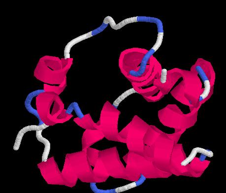 Two homologous proteins have the same overall structure.