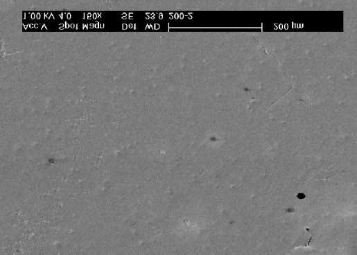 In addition, from the SEM micrograph shown in Fig.