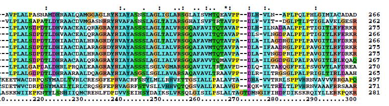 11/29/2011 30 Clustal alignment of DgdR proteins encoded