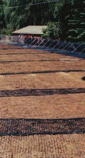 By permitting the slopes to be vegetated or covered by another facing material, Mirafi geosynthetics also factor in safety by preventing sliding, rotation, and erosion.