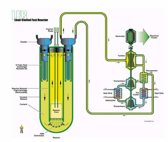 Lead Fast Reactor (LFR) An alternative Liquid Metal cooled Fast Reactor: thermal management of lead in service inspection and repair Weight of primary system (seismic behaviour ) Prevention of