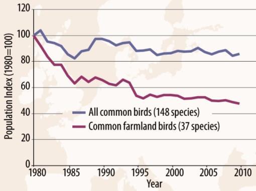 2017 Trends of grassland butterflies 1990-2011 The Wild Bird Index for Europe 1980 2010, European