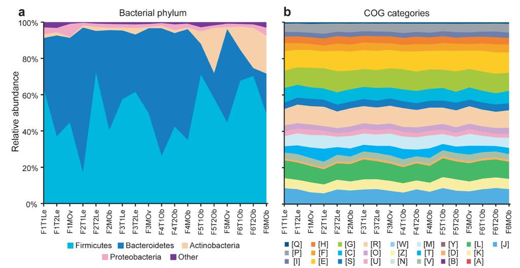 Taxonomic and functional variations in the human gut microbiome Bacterial Phylum COG