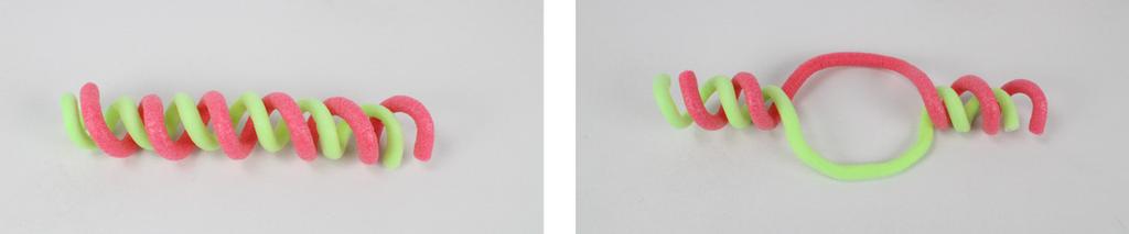 STEP : Observe your teacher create a model of a DNA replication bubble using two toobers. 5a Identify and label the replication bubble and replication forks in the model below.