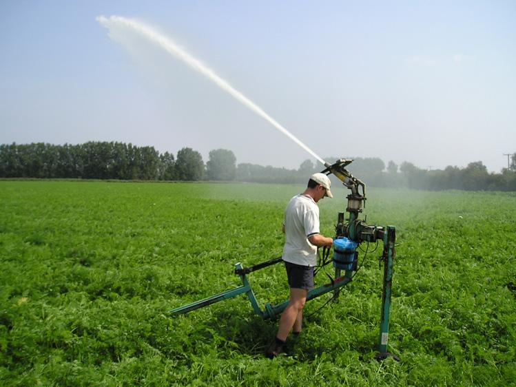 application across a field for two separate irrigation events in 2005 are shown in 8.