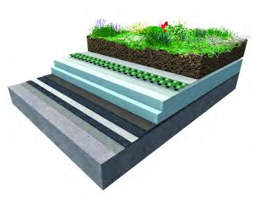 biodiverse green roofing systems.