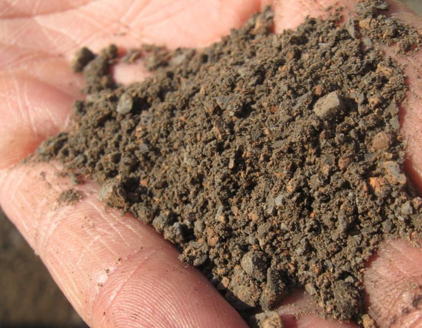 Soil (size A*) texture: gravelly (~25%) sand (SP) Dry (size A) density: 54 lb. ft -3 (0.86 Mg m -3 ) Ideal density: <103 lb ft -3 (1.6 Mg m -3 ) for sands** Root growth restriction: > 116 lb ft -3 (1.