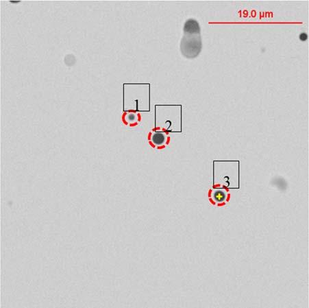 140 Figure 3. Inclusions with varying size and Fe content Table 3. Inclusion composition for inclusion shown in Figure 3 Inclusion # Diameter µm) O (%) Fe (%) Si (%) 1 1.00 24 66.3 9.7 2 2.01 37.2 39.