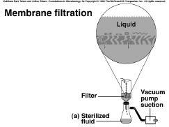 9 Other physical control methods Sonication -- Disruption using waves Filtration Text, Fig. 11.13 Chemical control agents I.