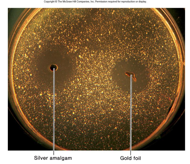 Demonstration of the effects silver and gold have on microbial growth.