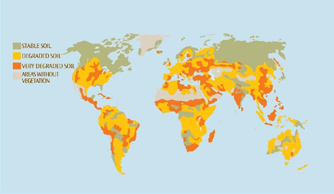 Distribution of Soil Degradation About 2 billion hectares of soil, equivalent to 15 per cent of the Earth s land area (an area larger than the United States